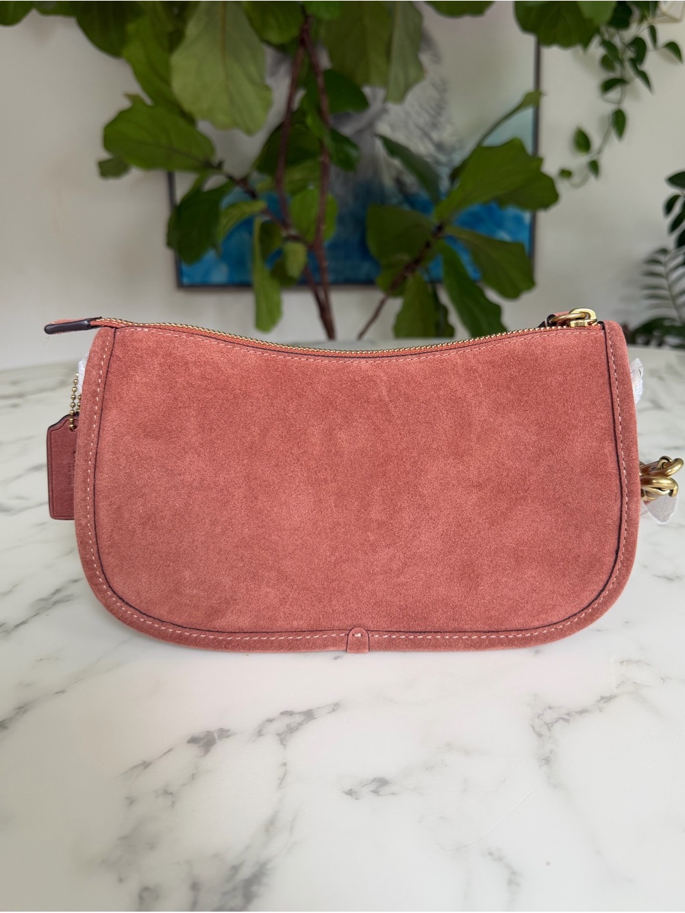 NWT Coach Waverly Bag Brass / Clay Suede Crossbody Shoulder Bag CDD78 - Picture 3 of 14